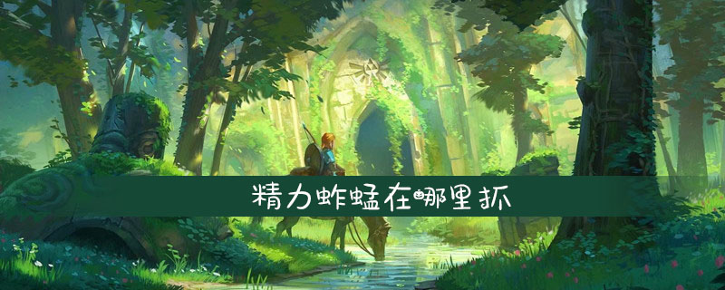 精力蚱蜢在哪里抓