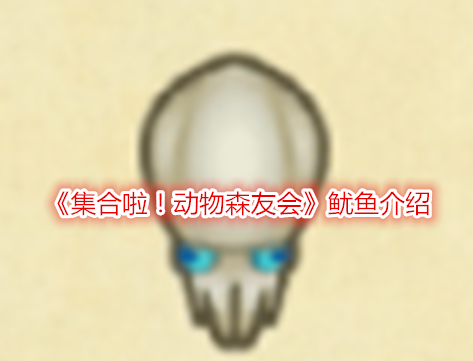 集合啦！动物森友会鱿鱼介绍