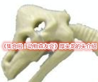 集合啦！动物森友会厚头龙的头介绍