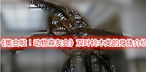 集合啦！动物森友会双叶铃木龙的身体介绍