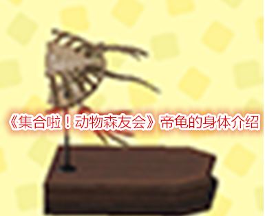 集合啦！动物森友会帝龟的身体介绍