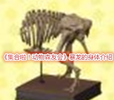 集合啦！动物森友会暴龙的身体介绍