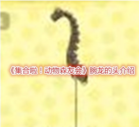 集合啦！动物森友会腕龙的头介绍