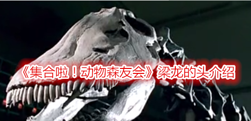 集合啦！动物森友会梁龙的头介绍