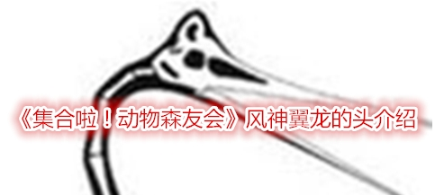 集合啦！动物森友会风神翼龙的头介绍