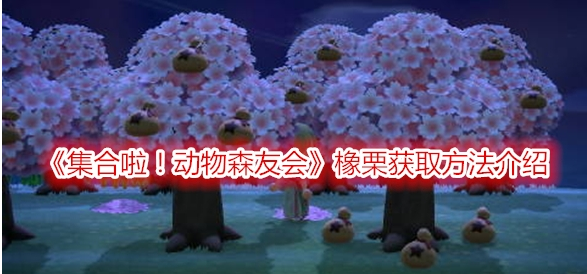 集合啦！动物森友会橡栗获取方法