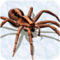 蜘蛛繁殖地模拟器中文手机版
