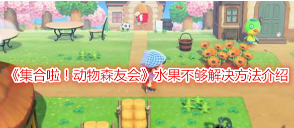 集合啦！动物森友会水果不够解决方法