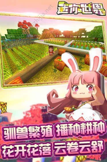 迷你世界全皮肤解锁版免费