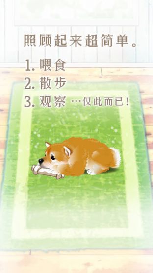 扑家养育柴犬的治愈游戏中文汉化版