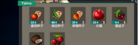 玛拉的夏天游戏商店售卖物品一览