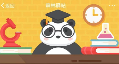 大熊猫小时候怎么称呼呢