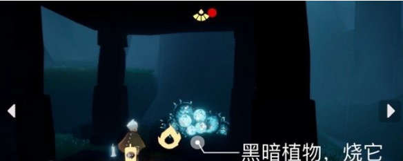 光遇11月20日每日任务怎么做