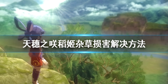 天穗之咲稻姬杂草损害解决方法