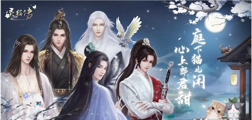灵猫传公测时间介绍