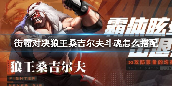 街霸对决狼王桑吉尔夫斗魂怎么搭配