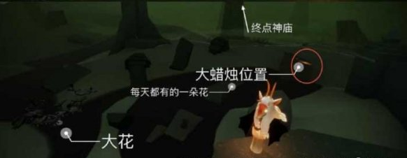 光遇12月28日大蜡烛在哪里