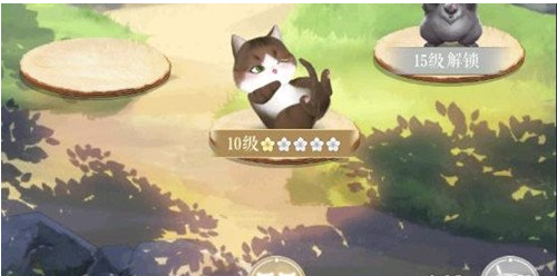 灵猫传猫咪上阵方法