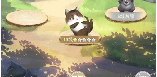 灵猫传猫咪升级方法