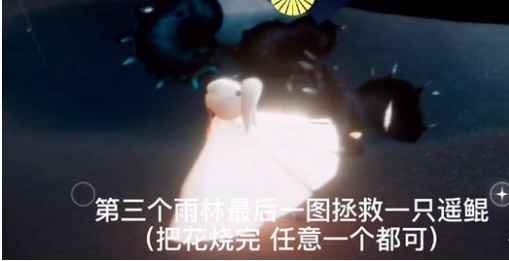 光遇12月31日每日任务怎么做
