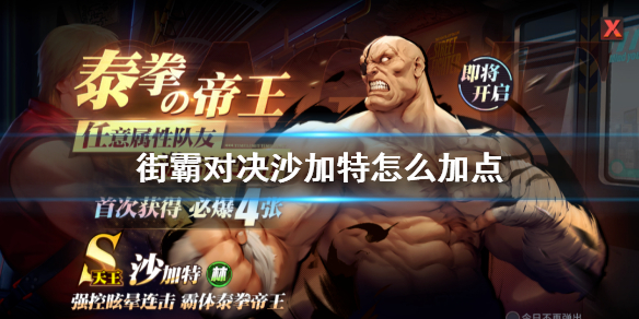 街霸对决沙加特怎么加点