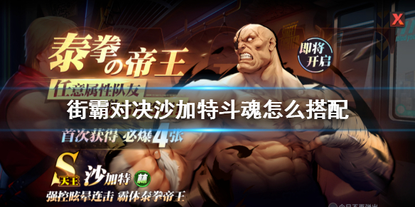 街霸对决沙加特斗魂要怎么搭配