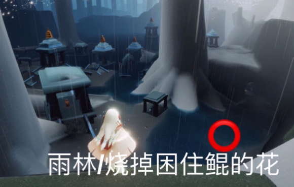 光遇2月16日每日任务怎么做