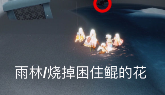光遇2月16日每日任务怎么做