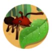 蚂蚁进化3d