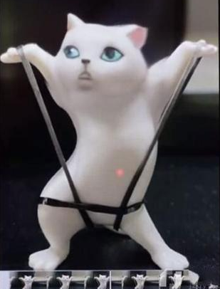 Avatarify换脸特效制作流程分享