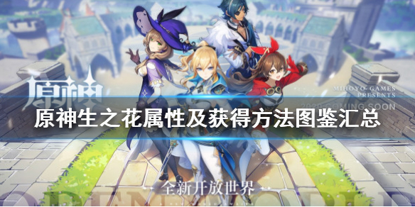 原神教官的胸花效果详解