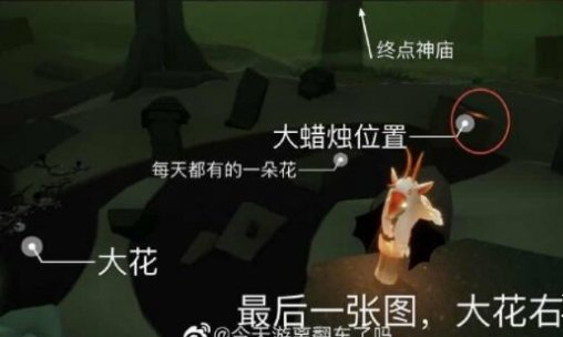 光遇3月11日大蜡烛在哪里