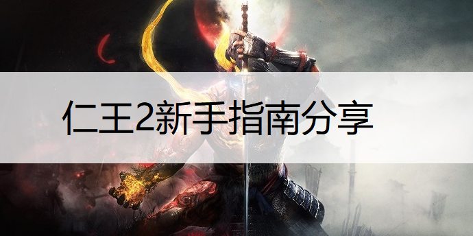 仁王2新手指南分享