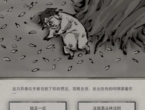 鬼谷八荒狌狌奇遇事件触发分享