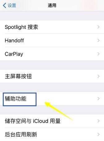 苹果手机小圆点设置操作讲解