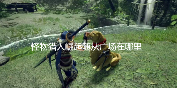 怪物猎人崛起随从广场在哪里