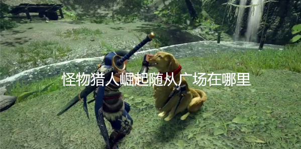 怪物猎人崛起大翔虫怎么补充