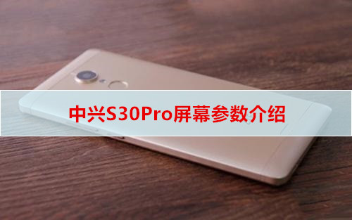 中兴S30Pro屏幕参数介绍