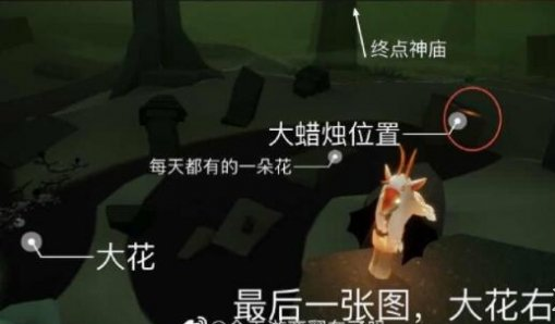 光遇4月8日大蜡烛在哪里