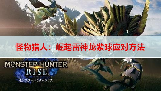 怪物猎人：崛起雷神龙紫球应对方法