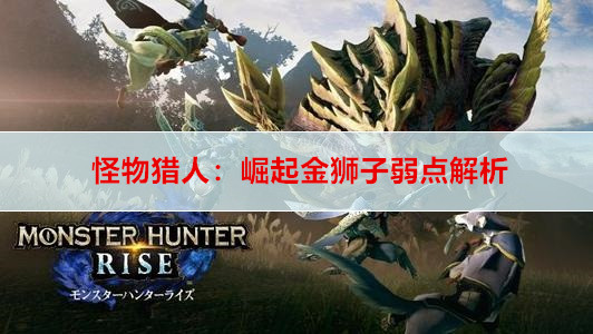 怪物猎人：崛起金狮子弱点解析