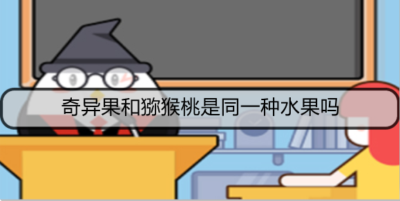 奇异果和猕猴桃是同一种水果吗