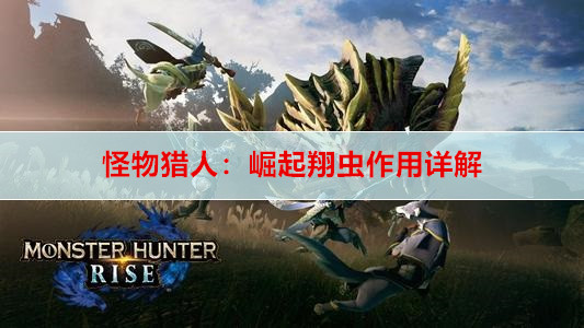 怪物猎人：崛起翔虫作用详解