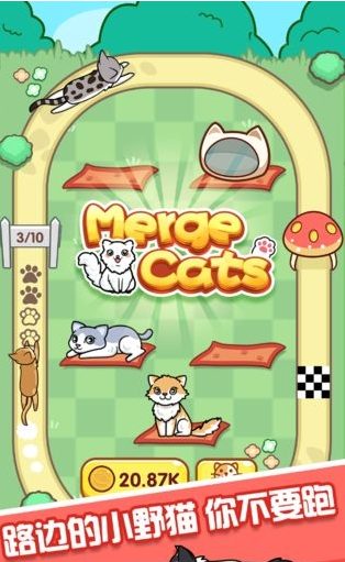 跑跑云养猫游戏