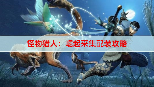 ​怪物猎人：崛起采集配装攻略