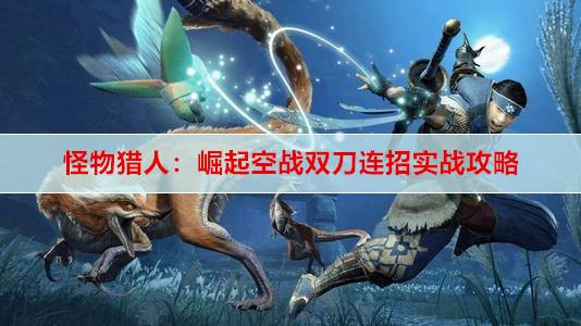 怪物猎人：崛起空战双刀连招实战攻略