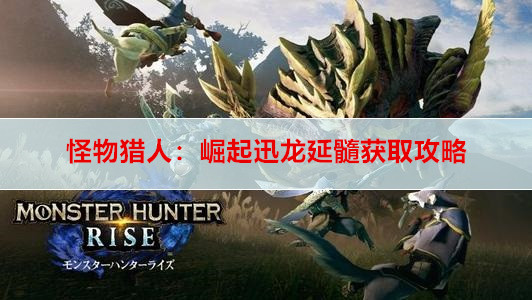 怪物猎人：崛起迅龙延髓获取攻略