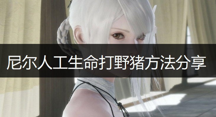 尼尔人工生命打野猪方法分享