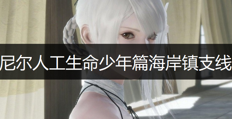 尼尔人工生命少年篇海岸镇支线任务说明