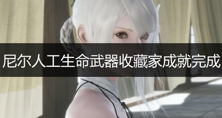 尼尔人工生命武器收藏家成就完成详解
